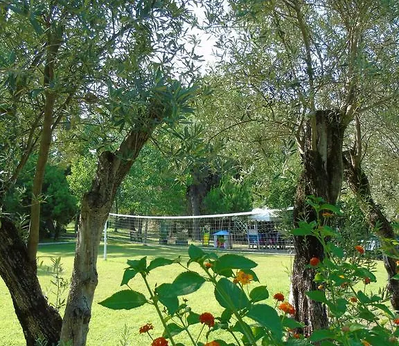 E Vacanze A - Sul Mare * Bivona (Calabria)