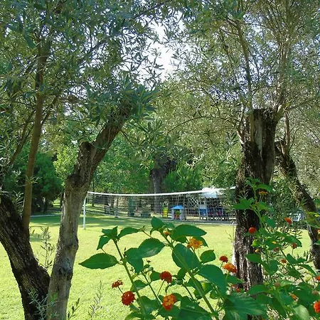 Vacanze * Bivona (Calabria)