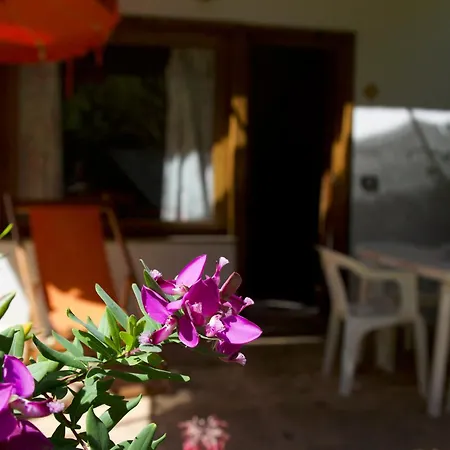 Vacanze Appartamento