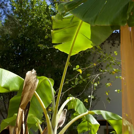 Case E Appartamenti Vacanze A Bivona - Sul Mare Апартаменты Bivona (Calabria)