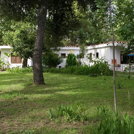 Case E Appartamenti Vacanze A Bivona - Sul Mare