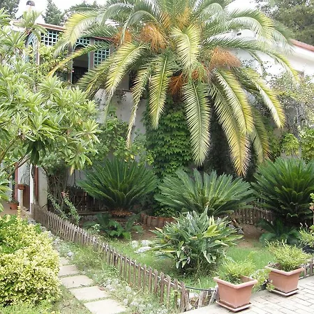 Case E Appartamenti Vacanze A Bivona - Sul Mare