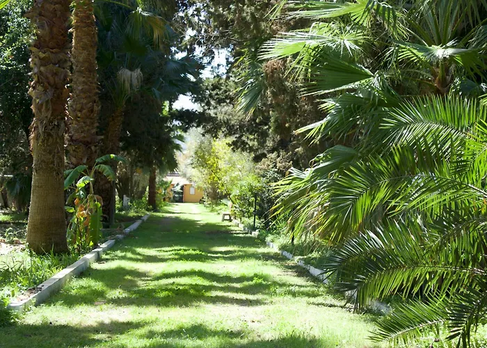 Appartamento E Vacanze A - Sul Mare Bivona (Calabria)