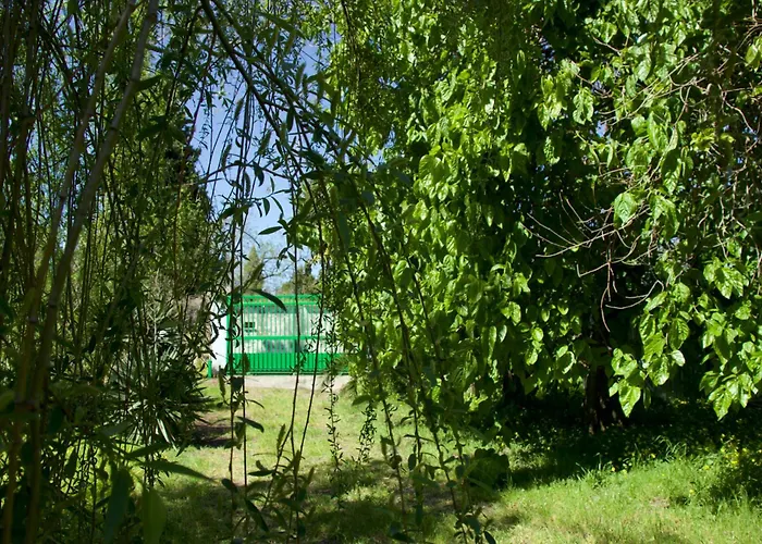 E Vacanze A - Sul Mare * Bivona (Calabria)