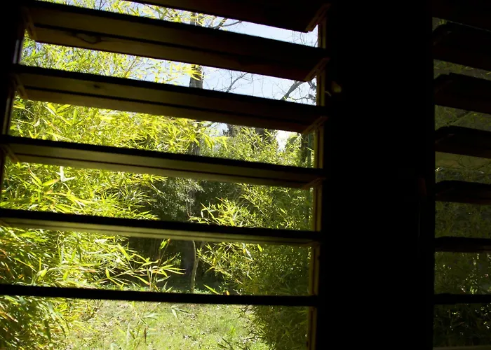 E Vacanze A - Sul Mare 公寓 Bivona (Calabria)