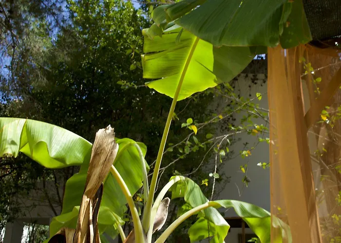 E Vacanze A - Sul Mare Appartamento Bivona (Calabria)